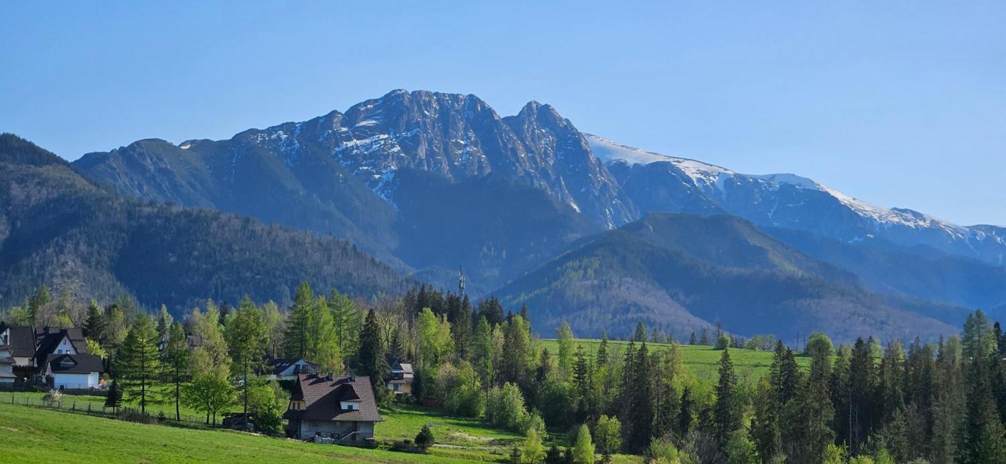 Marol Wynajem Pokoi Apartment Zakopane Bagian luar foto