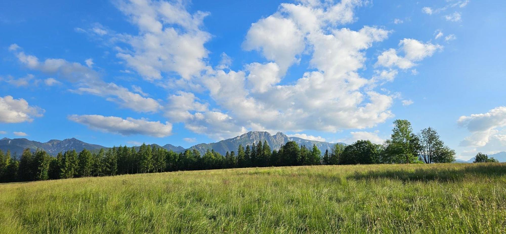 Marol Wynajem Pokoi Apartment Zakopane Bagian luar foto